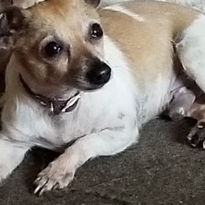 Meet your Posher, Leonel